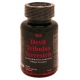 Devil Tribulus Terrestris