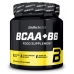 BCAA + B6 - aminoacizi BCAA cu vitamina B6