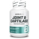 Joint & Cartilage