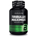 Tribulus Maximus - amplificator al nivelului de testosteron 100% natural, cu saponină