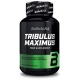 Tribulus Maximus - amplificator al nivelului de testosteron 100% natural, cu saponină