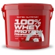 100% Whey Protein Professional, 5 Kg - Lichidare de stoc!