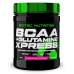 BCAA + Glutamine Xpress