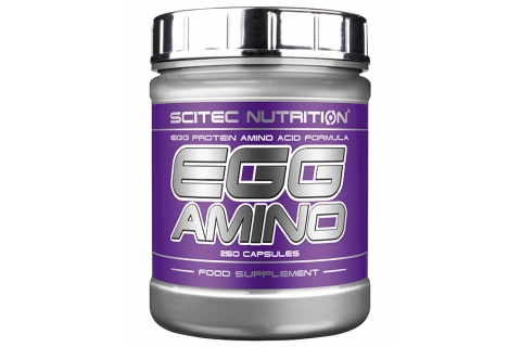 Egg Amino